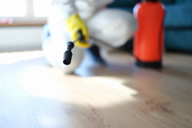 Best Crawl Space Mold Remediation  in Longwood, FL