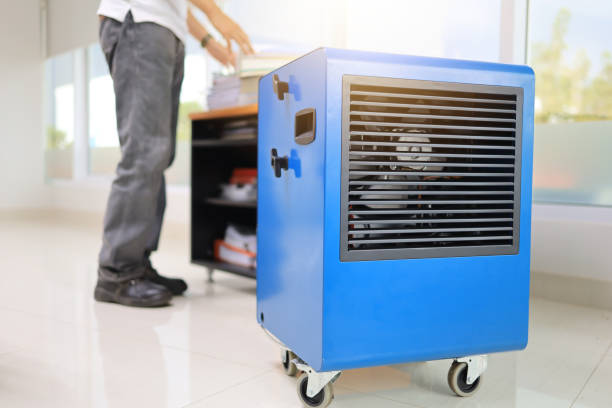 Best Attic Mold Removal  in Longwood, FL
