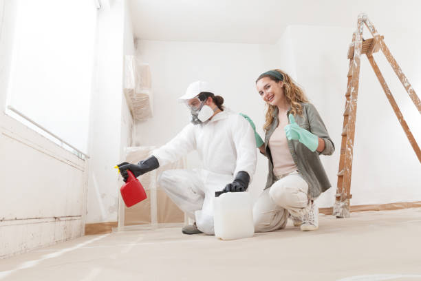 Best Post-Remediation Verification Testing  in Longwood, FL